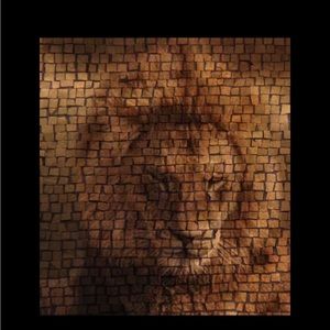 Meet your Posher, Roy